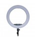 رینگ لایت انسر مدل Answer Ky-bk448II RGB