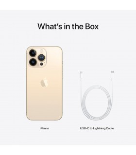 گوشی موبایل اپل iPhone 13 Pro Max رنگ طلایی ظرفیت 1TB-تک سیمکارت-نات اکتیو