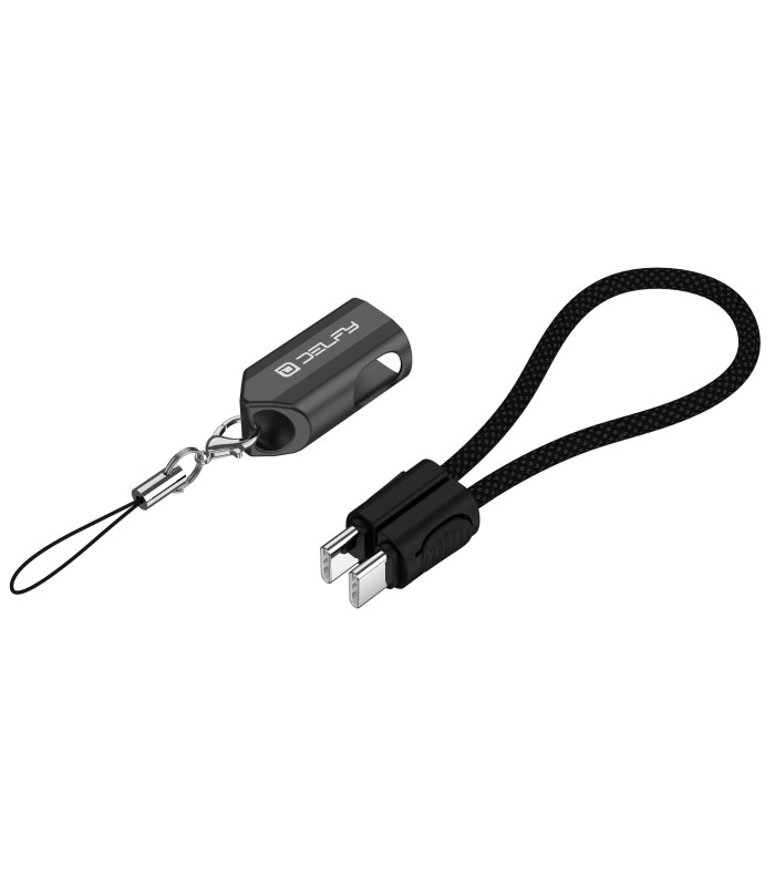 جاسوییچی کابلی دلفی مدل Delfy USB-C to USB-C Keychain