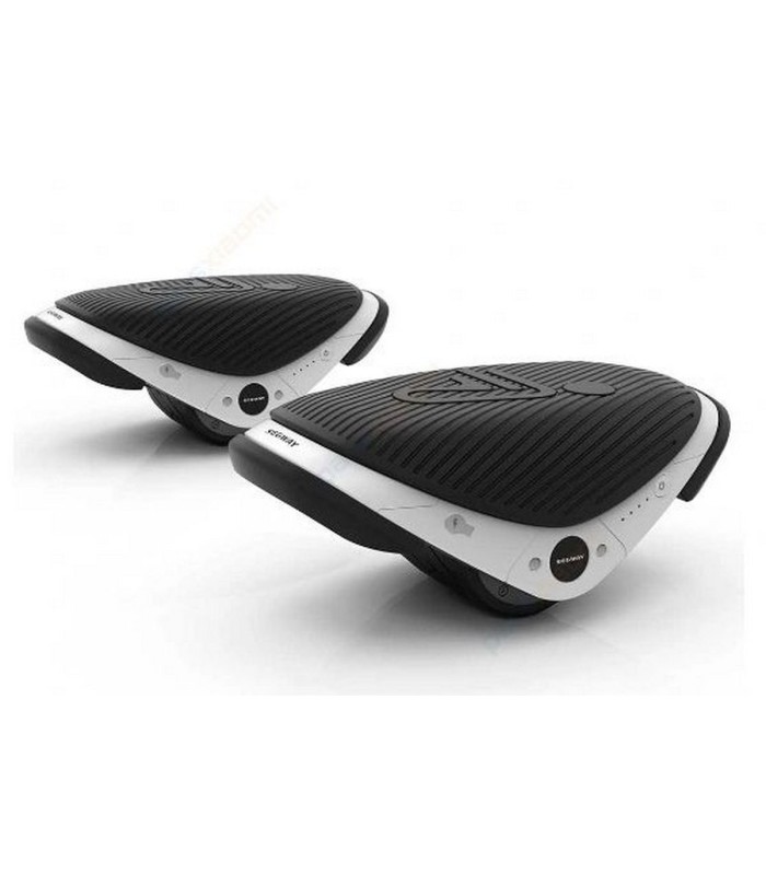 اسکیت برقی سگوی مدل Segway Drift W1