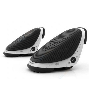 اسکیت برقی سگوی مدل Segway Drift W1