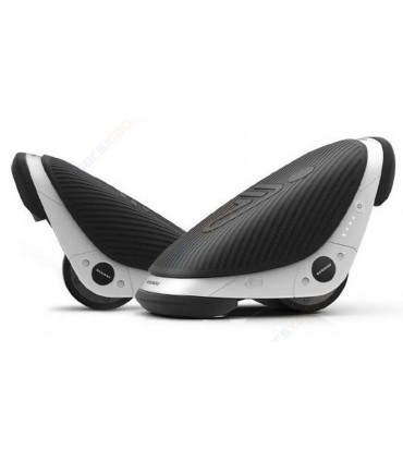 اسکیت برقی سگوی مدل Segway Drift W1