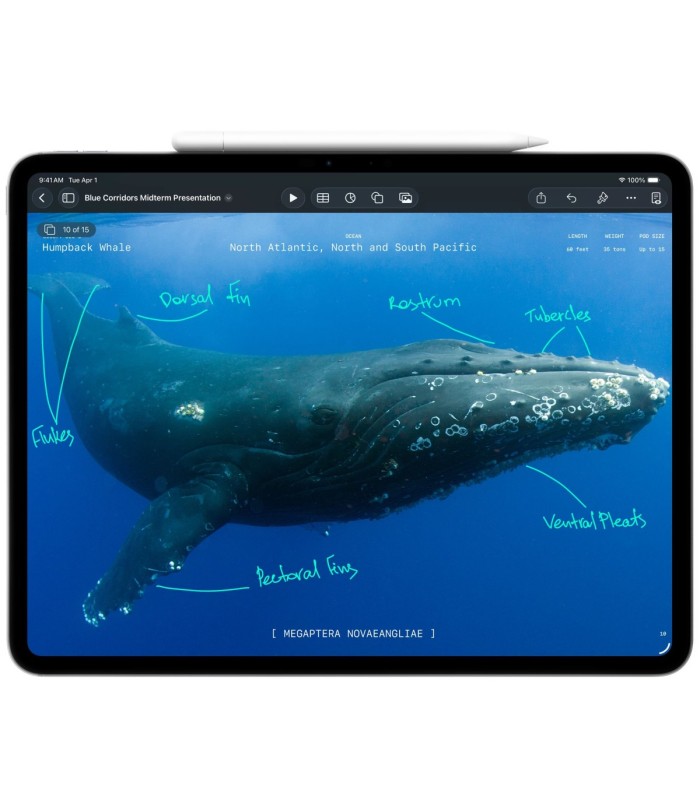 آیپد پرو ۱۱ اینچ M5 ۲۰۲۵ سلولار - ۱ ترابایت - نقره‌ای