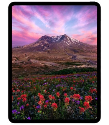 آیپد پرو ۱۳ اینچ M5 ۲۰۲۵ سلولار - ۲۵۶ گیگابایت - نقره‌ای