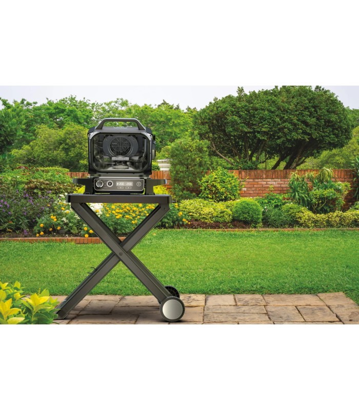 گریل و باربیکیو برقی نینجا مدل Ninja Woodfire Electric BBQ Grill & Smoker OG701