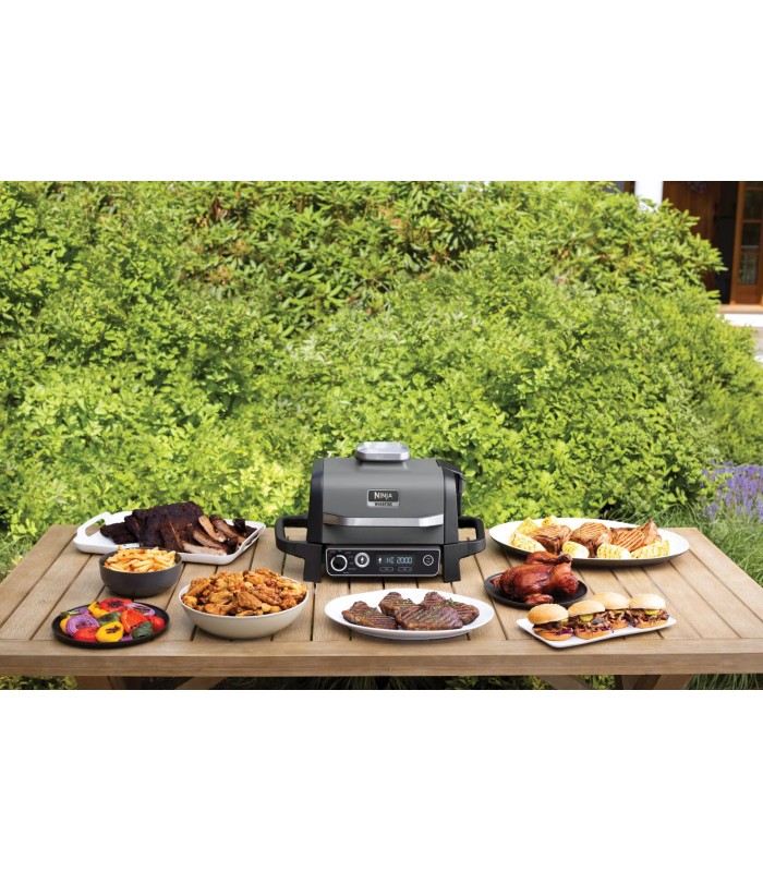 گریل و باربیکیو برقی نینجا مدل Ninja Woodfire Electric BBQ Grill & Smoker OG701