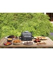 گریل و باربیکیو برقی نینجا مدل Ninja Woodfire Electric BBQ Grill & Smoker OG701