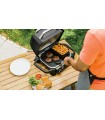 گریل و باربیکیو برقی نینجا مدل Ninja Woodfire Electric BBQ Grill & Smoker OG701