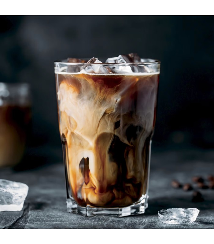 اسپرسو ساز نینجا مدل Ninja Luxe Café Premier Espresso Machine ES601