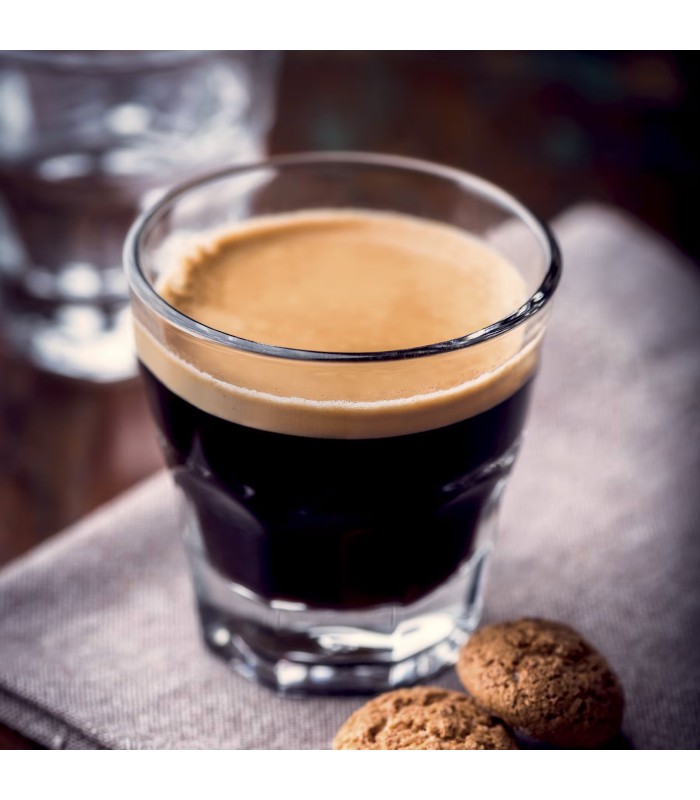 اسپرسو ساز نینجا مدل Ninja Luxe Café Premier Espresso Machine ES601