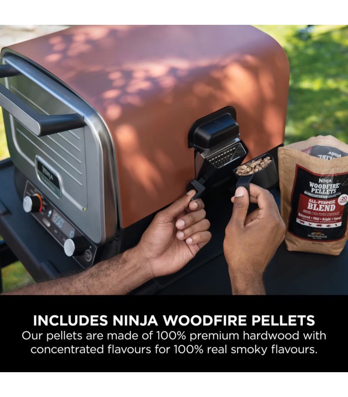 تنور برقی نینجا مدل Ninja Woodfire Electric Outdoor Oven & BBQ Smoker OO101