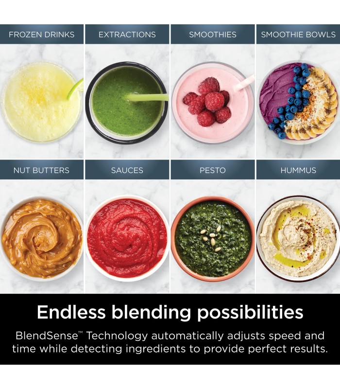مخلوط‌کن نینجا مدل Ninja Detect Duo Power Blender Smoothie Maker TB301