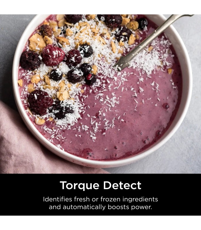 مخلوط‌کن نینجا مدل Ninja Detect Duo Power Blender Smoothie Maker TB301
