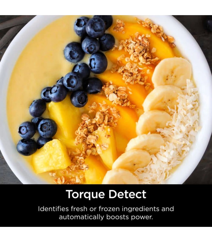 مخلوط‌کن نینجا مدل Ninja Detect Professional Blender and Food Processor TB401