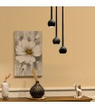 نور ایلکین مدل ilkeen DANDELION | رنگ مشکی