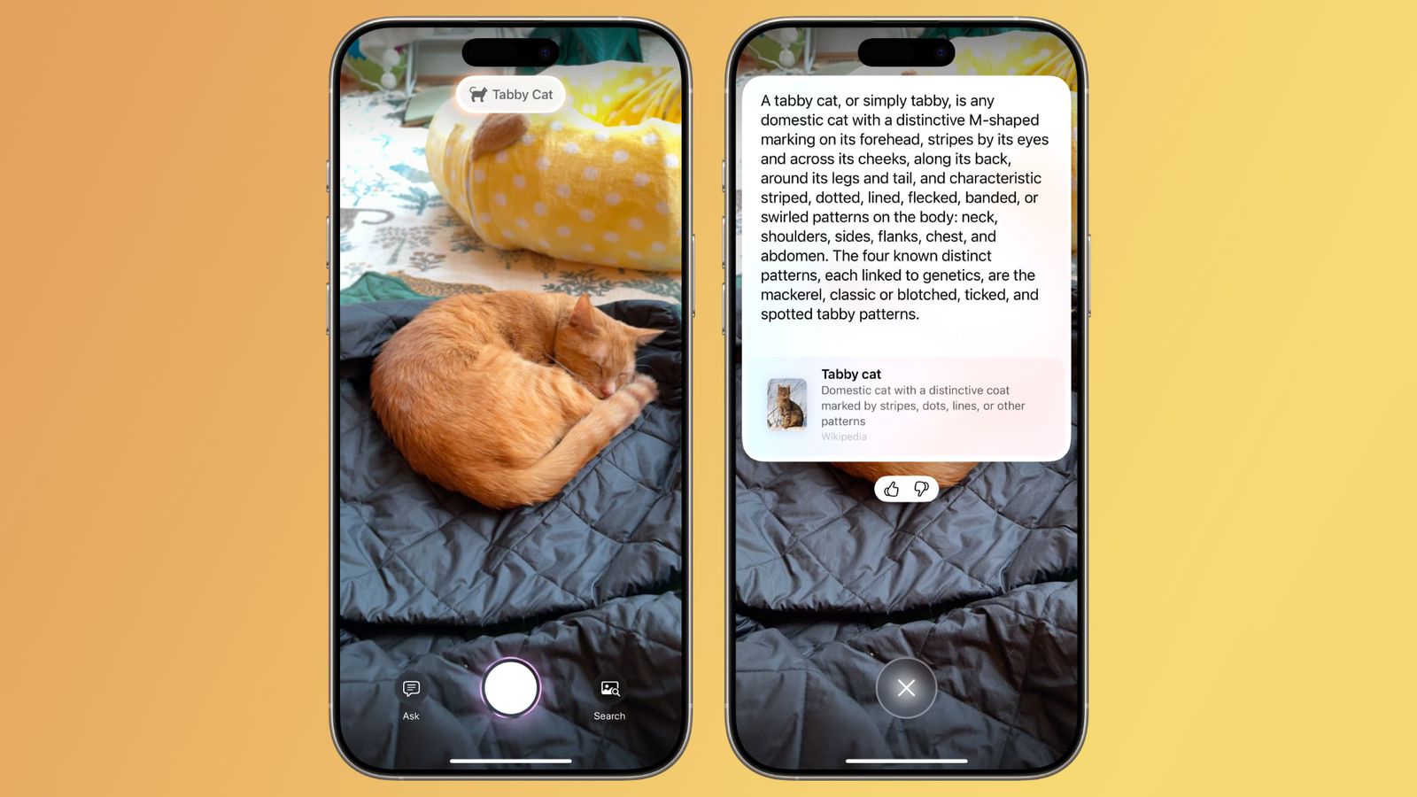 قابلیتهای جدید هوش دیداری سری آیفون ۱۶ در iOS 18.3