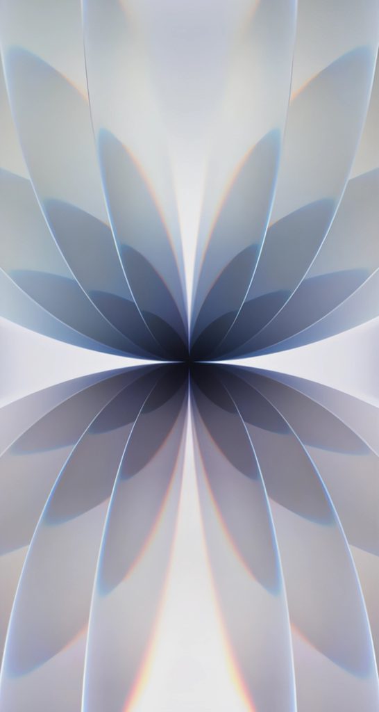 والپیپر آیفون ۱۷ معمولی مشکی