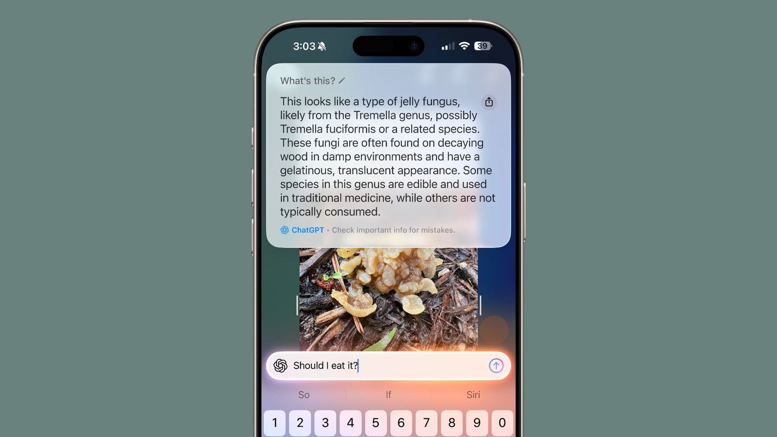هوش مصنوعی آیفون برای آگاهی در مورد محتوای صفحه نمایش