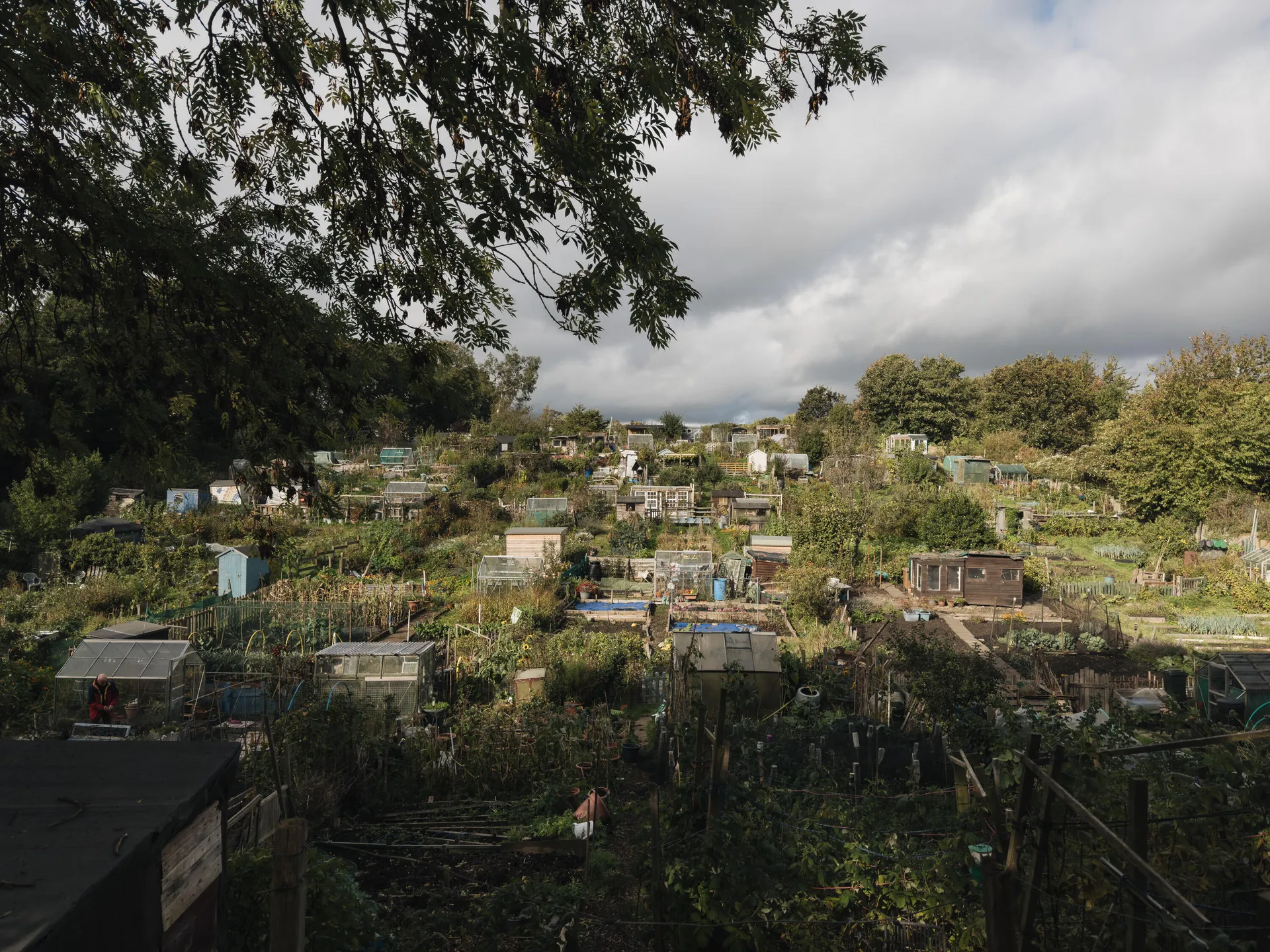 عکاسی حرفه‌ای با آیفون - با لنزهای مختلف آزمایش کنید