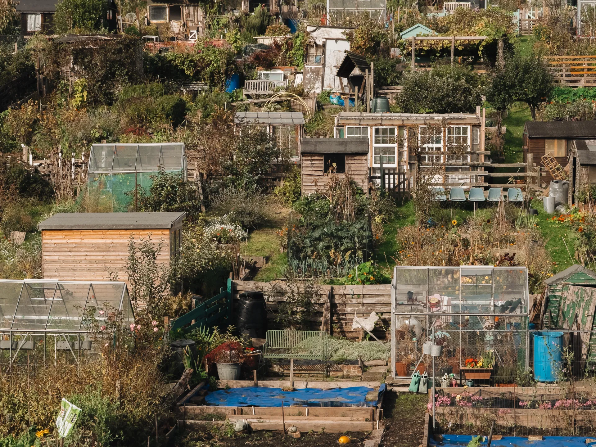 عکاسی حرفه‌ای با آیفون - با لنزهای مختلف آزمایش کنید